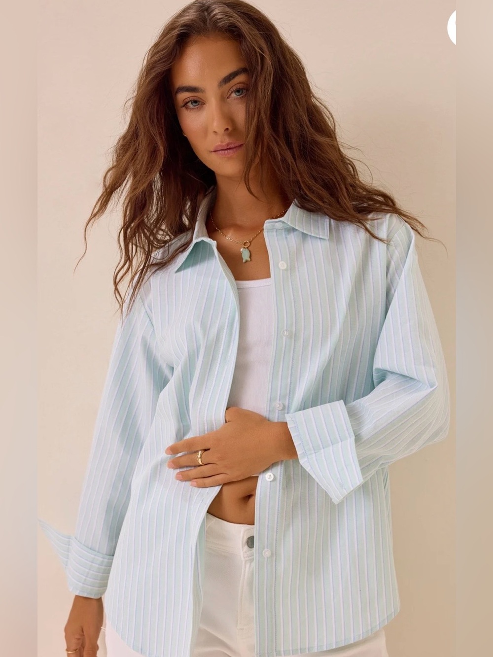 Altar’d State Palmer Pin Stripe Oxford Button Down Long Sleeve Top Mint NWT XS